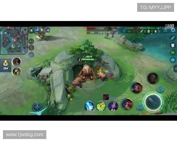 深入探讨王者荣耀成功背后的秘密与杨伟的独特见解